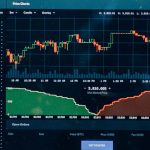 _0045_ekonomisk-marknad